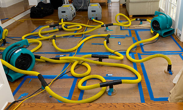 Professional Crawl Space Water Removal technician working in Sparta, OH